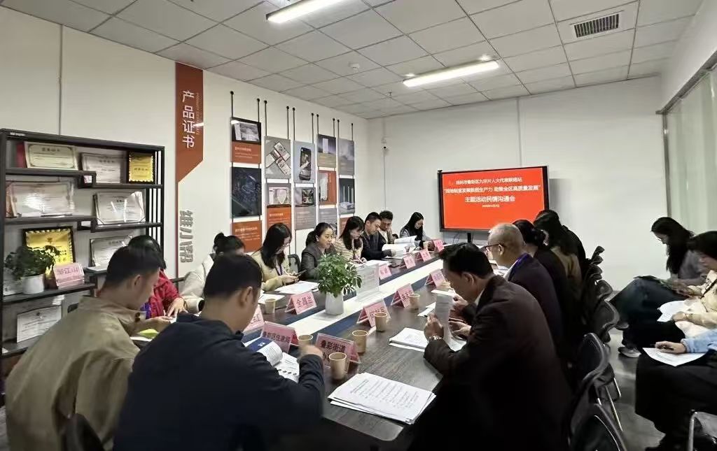 叠彩区人大代表莅临维构科技调研座谈——聚焦因地制宜发展新质生产力 共话全区高质量发展对策